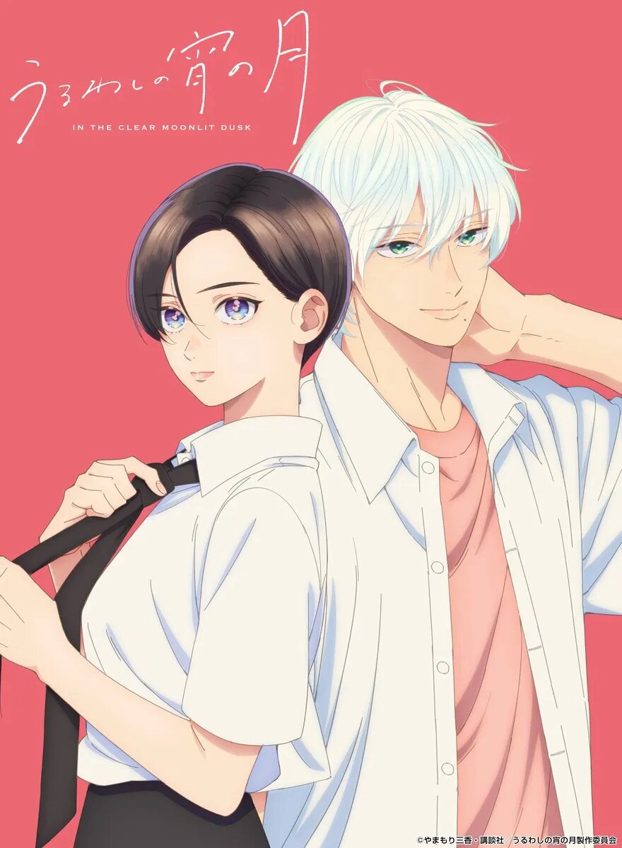 Постер аниме «Прекрасная вечерняя луна». Источник: x.com/uruwashi_anime   📷