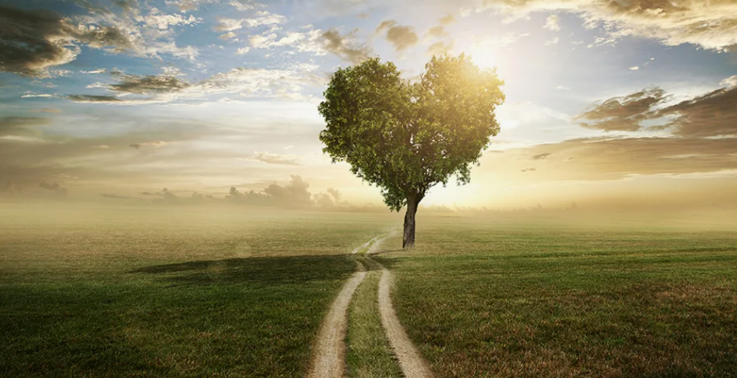 Если бы мы знали, что любовь – это труд, а не чувство