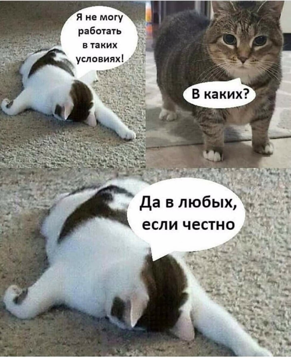 источник Яндекс-картинки