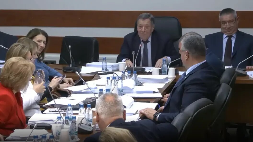    стоп-кадр видео с заседания комитета Госдумы