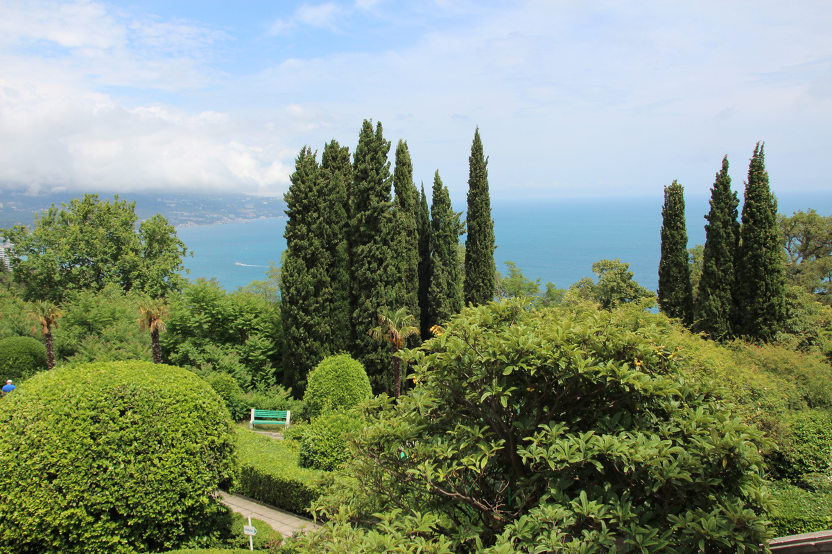 Из парка открываются красивы панорамные виды. Фото: автор