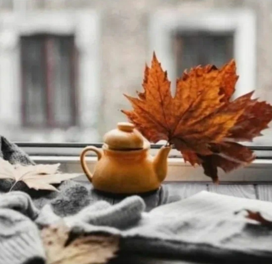 С просторов интернета