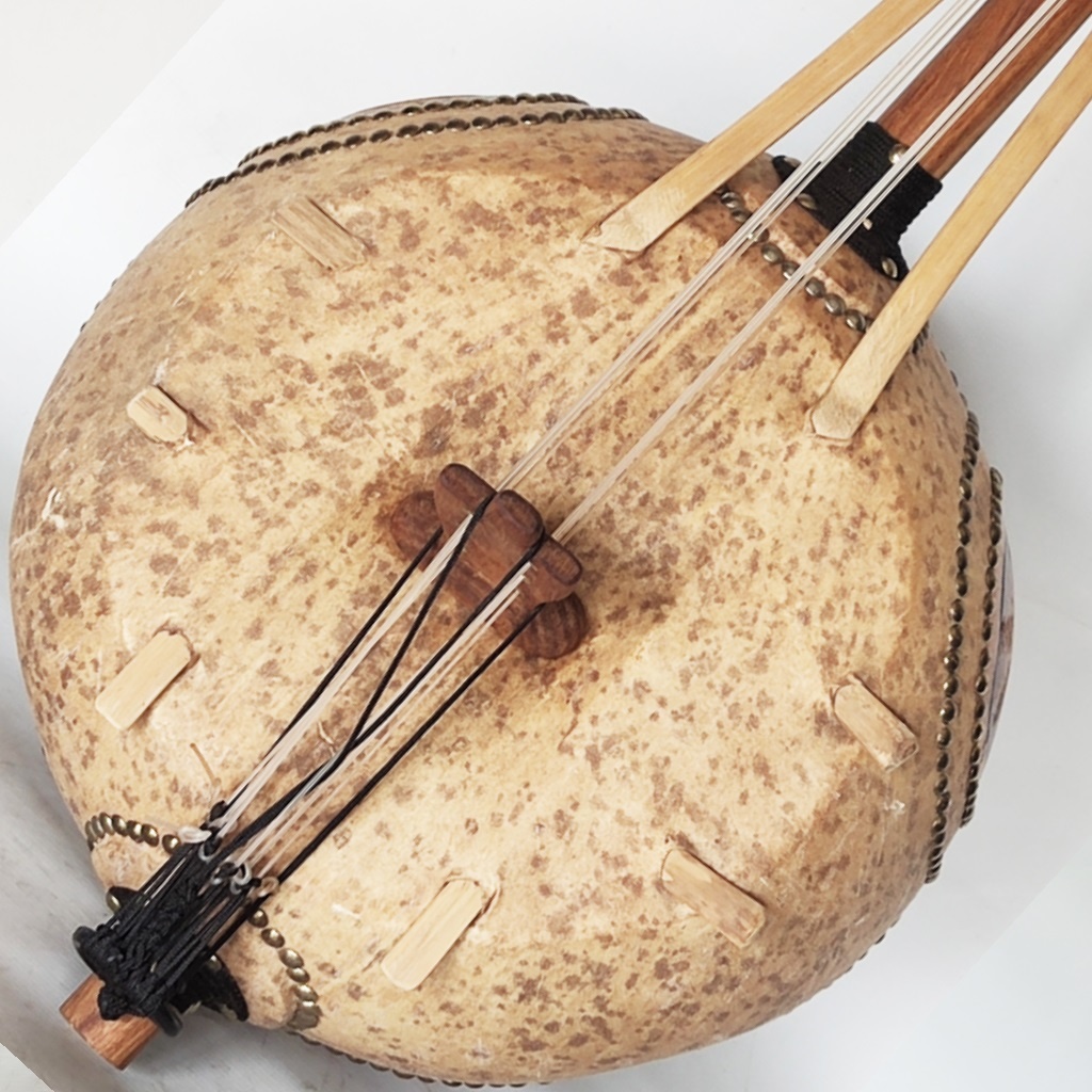 Donso Ngoni  / Донсо нгони