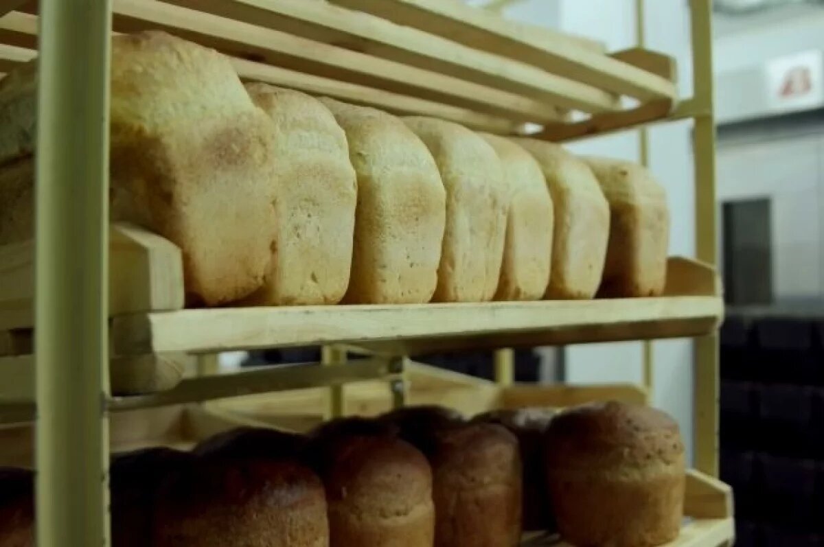    Роспотребнадзор проверяет школу на Камчатке после случая кишечной инфекции