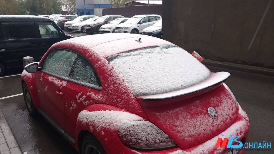    Фото: Никита Потапов