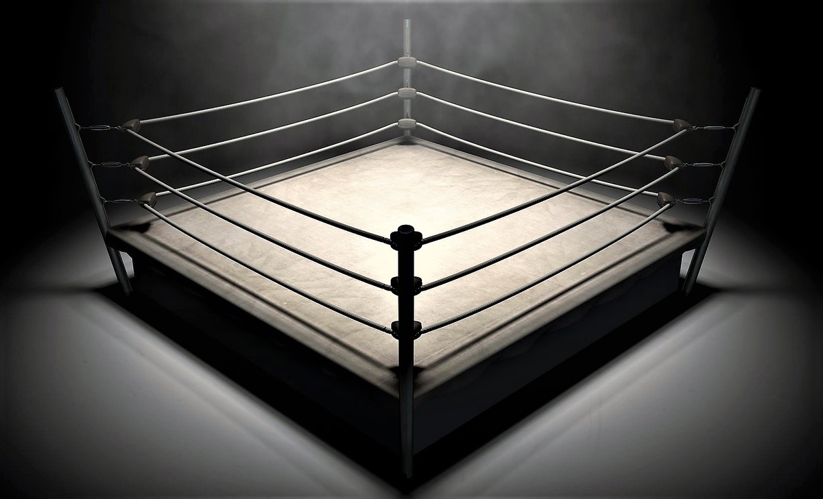 1. Боксёрский ринг