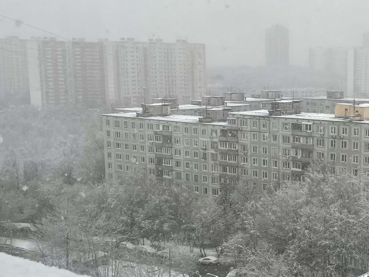 Зима за окном