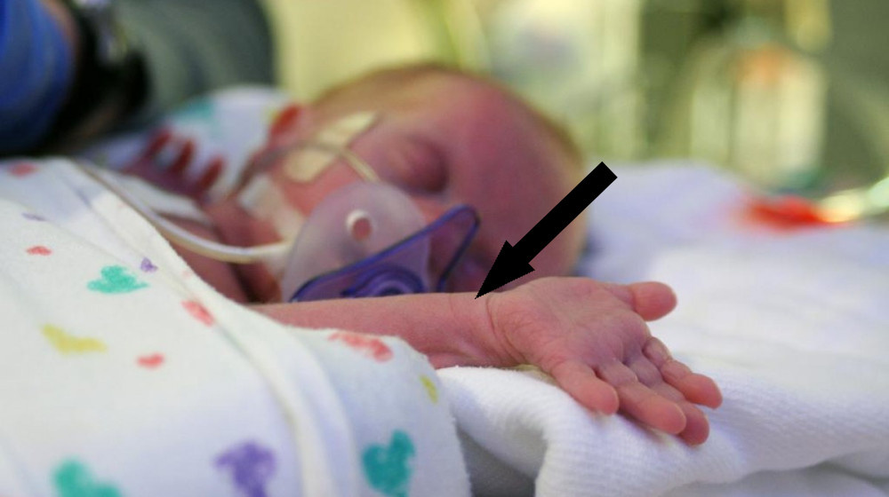    Родить вопреки судьбе и не сдаться