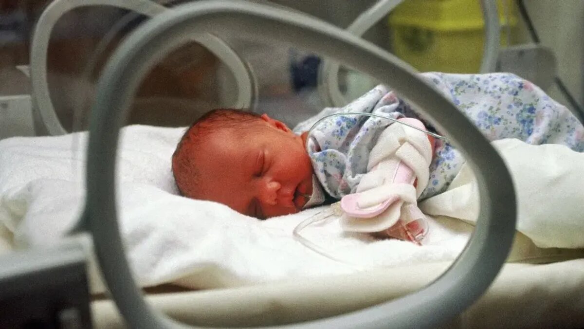    Родить вопреки судьбе и не сдаться