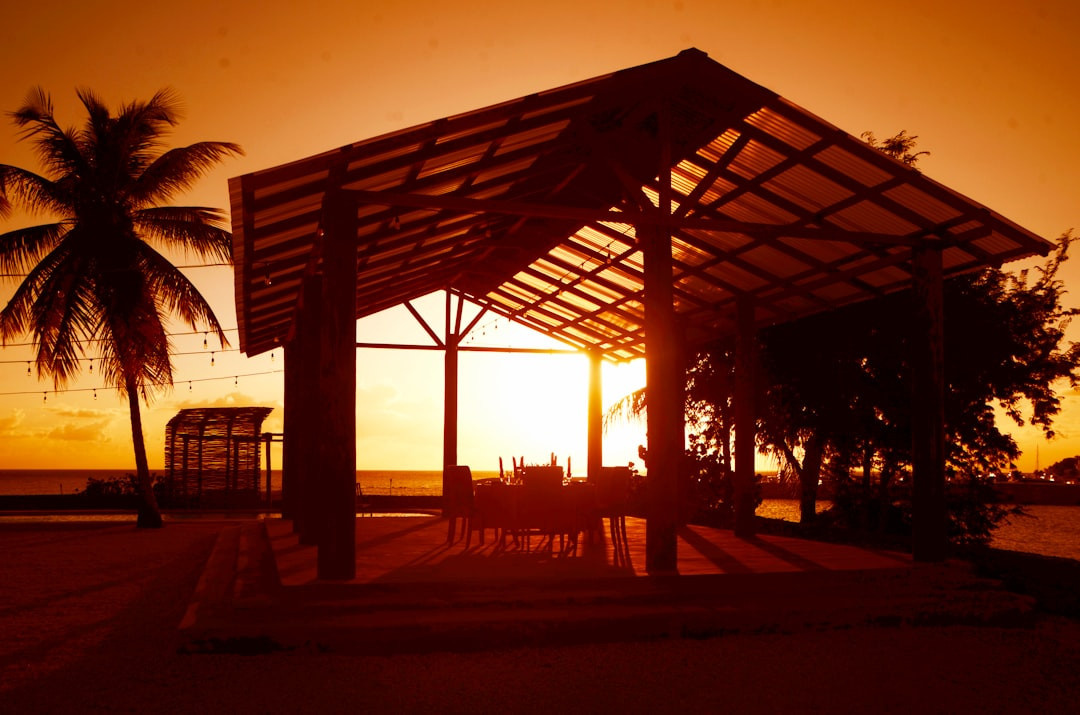    Зимние пляжи-2025: где согреться без толп и за полцены?