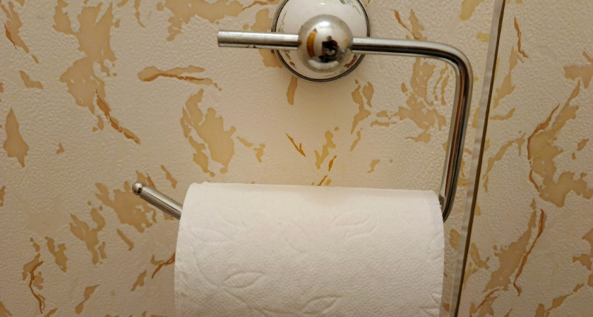    Втулки от туалетной бумаги берегу как зеницу ока: вот как их применяю — очень удобная вещь для решения многих проблем