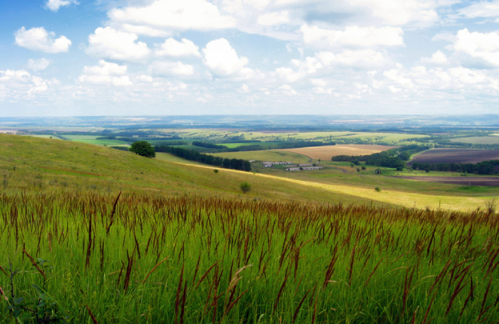    Андрей Степанов / Фотобанк Лори