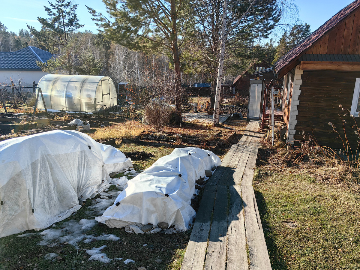 дача в начале ноября