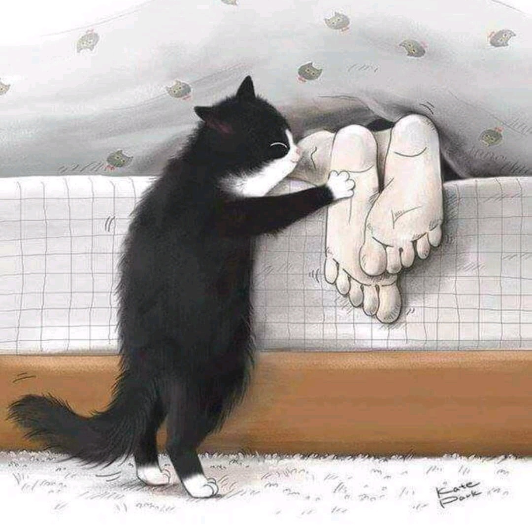 Мех щекотун