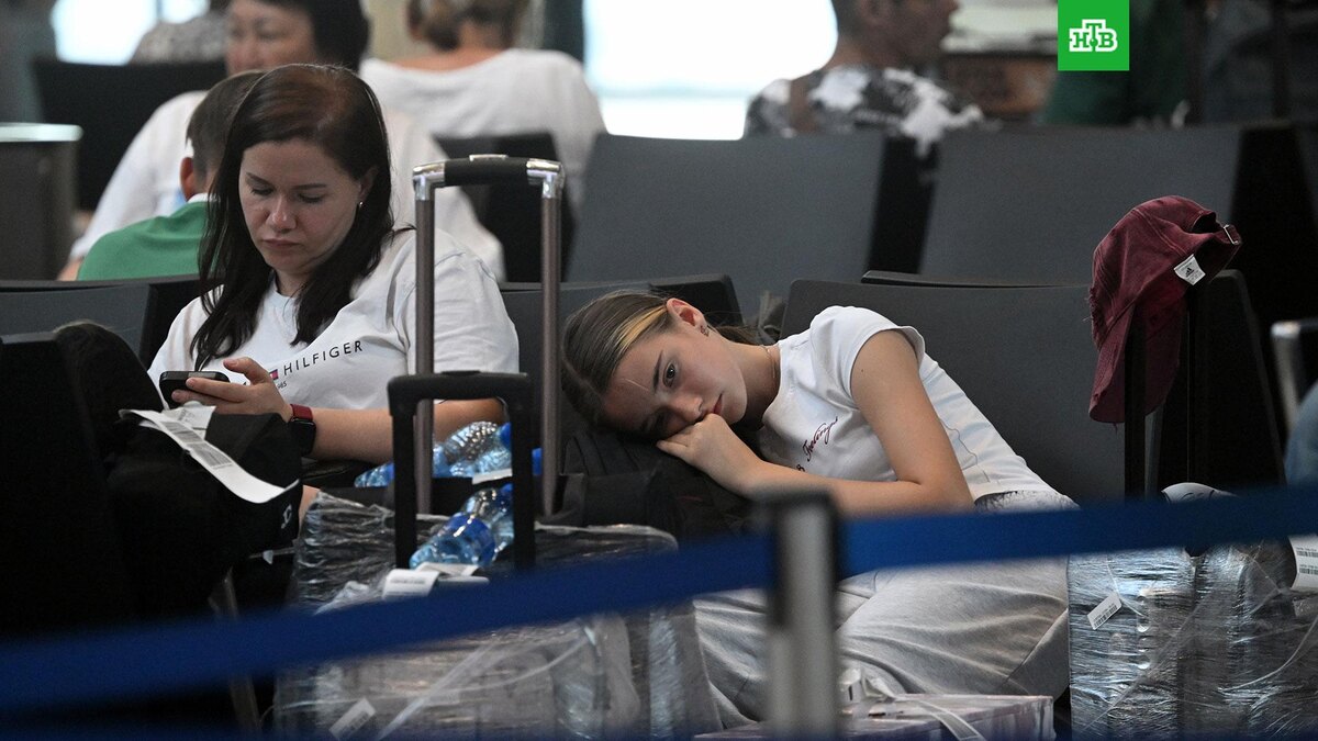    Фото: РИА Новости © 2025, Кирилл Каллиников