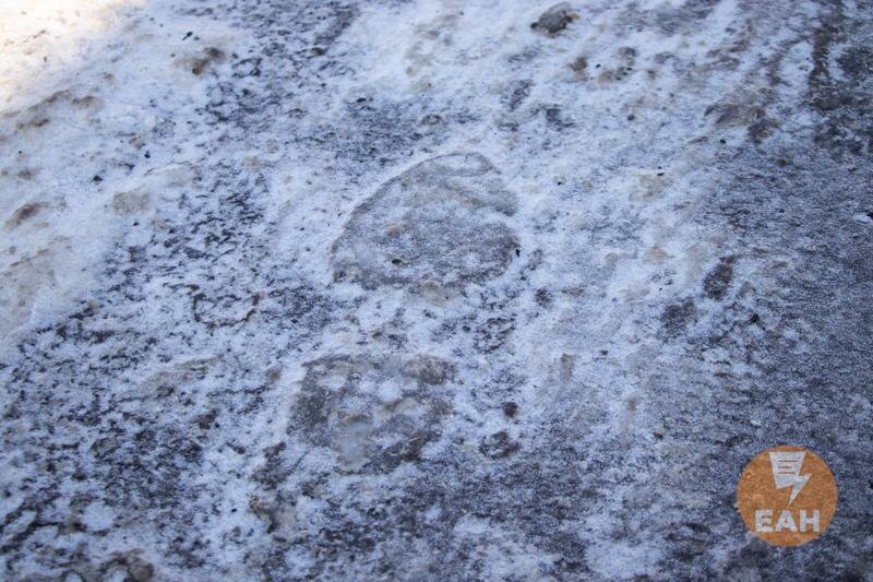    ЕАН. След на снегу