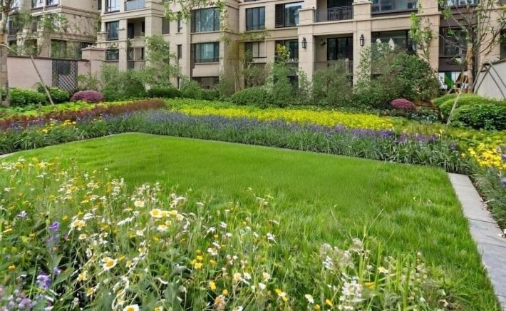 Благоустройство
Фото: Создано Giga Chat