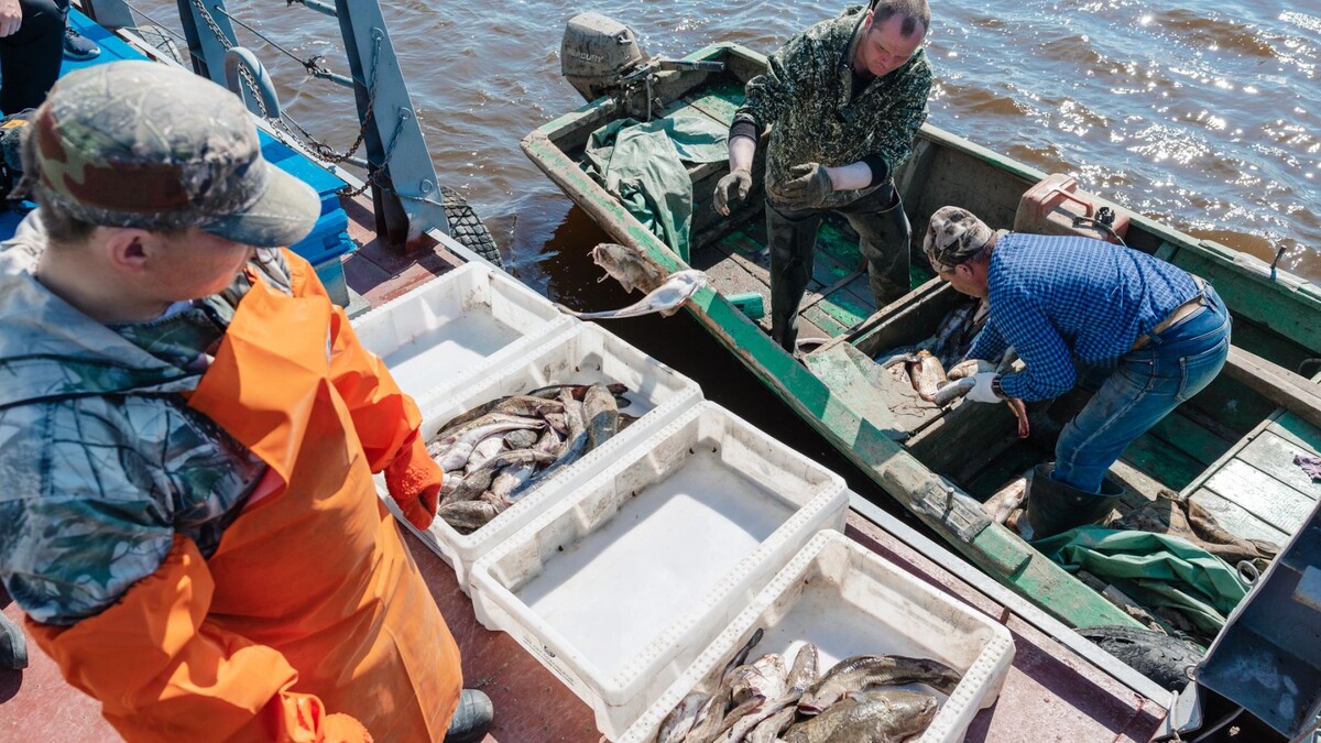    Фото: Андрей Ткачёв / «Ямал-Медиа»
