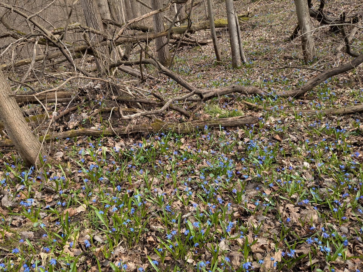Где-то под Белгородом