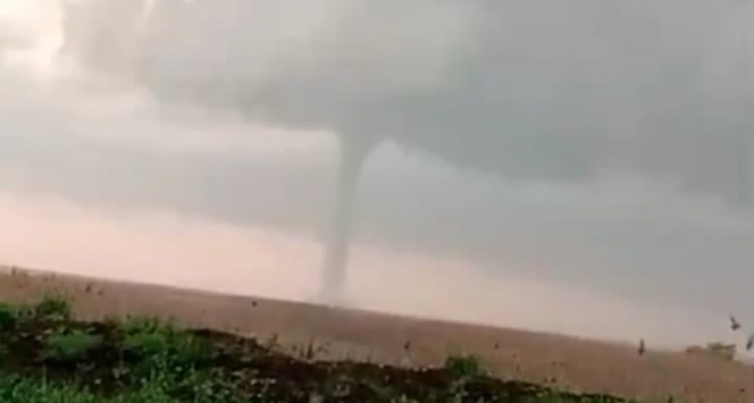    Зима обрушится безжалостно и резко: Вильфанд сообщил, когда закончится теплый период предзимья