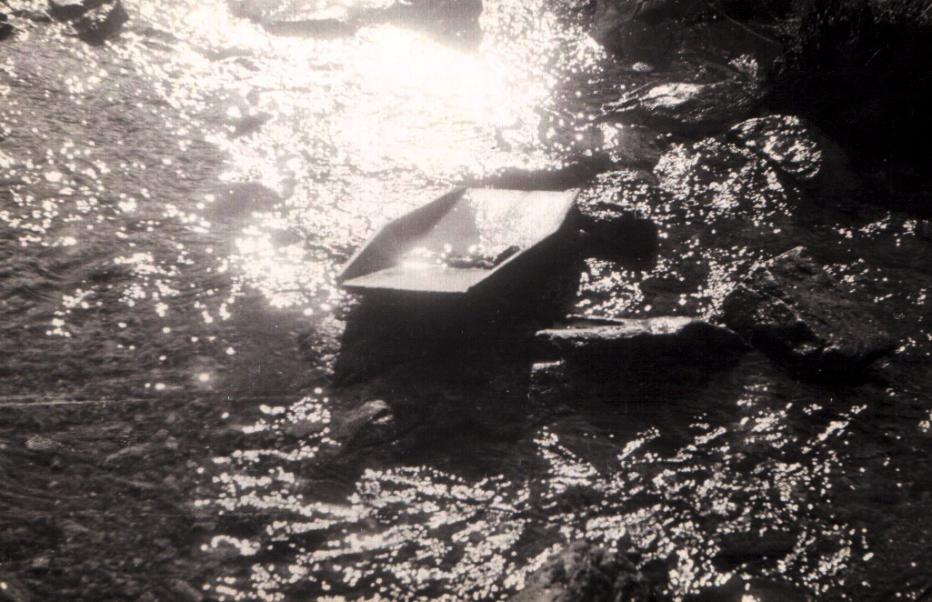 Золотая речка