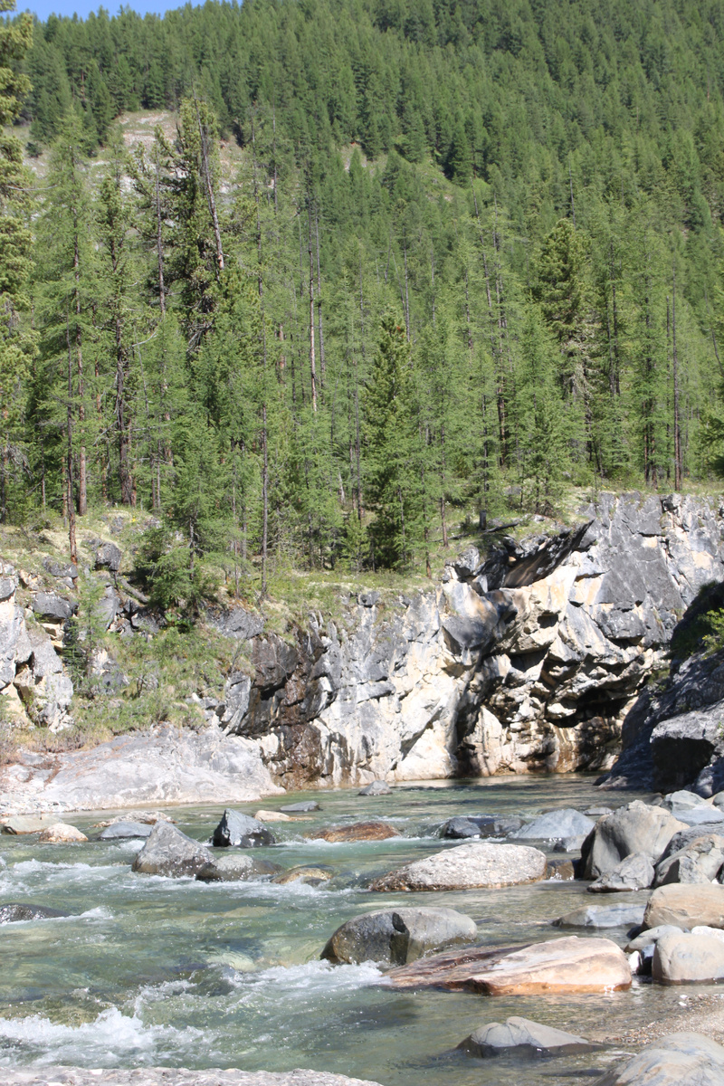 Золотоносная река Восточного Саяна