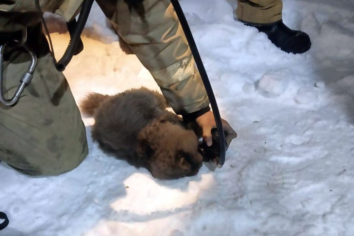    Фото ГУ МЧС России по Новосибирской области