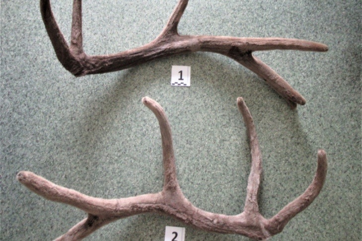    Фото Сибирского таможенного управления