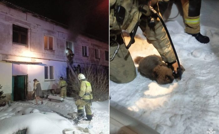 Фото МЧС Новосибирской области.