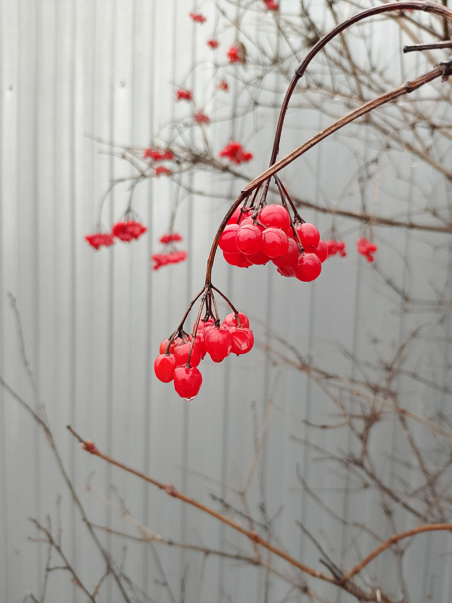 Из архива автора