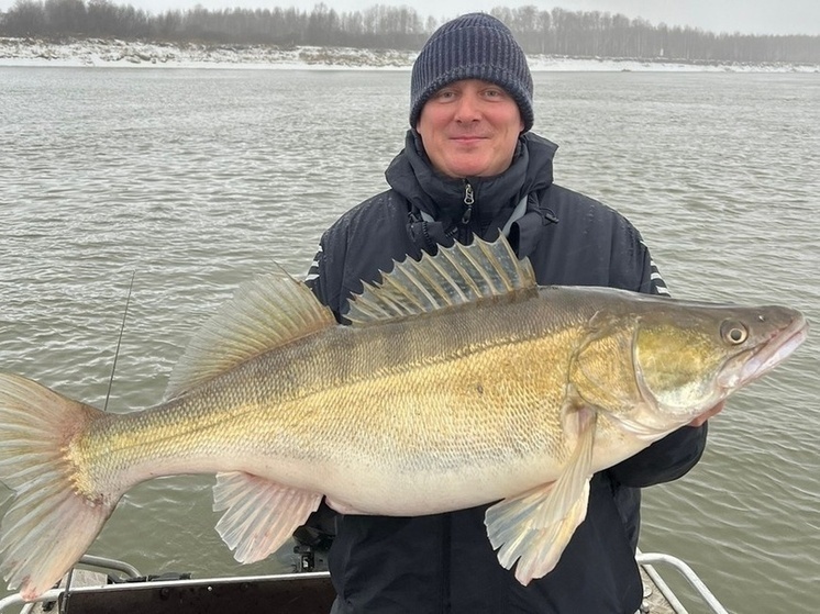     Фото: Максим Майков