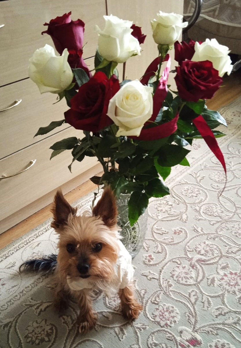 Чилл поздравляет всех с пятницей (все фото автора)