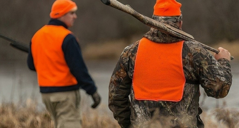    В Кировской области обновили охотничьи билеты