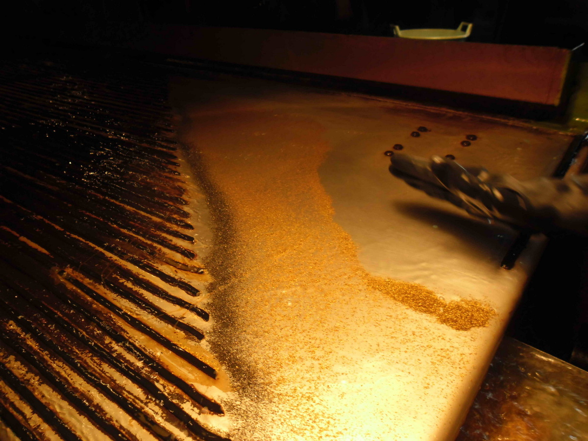 © АС «Дражник»