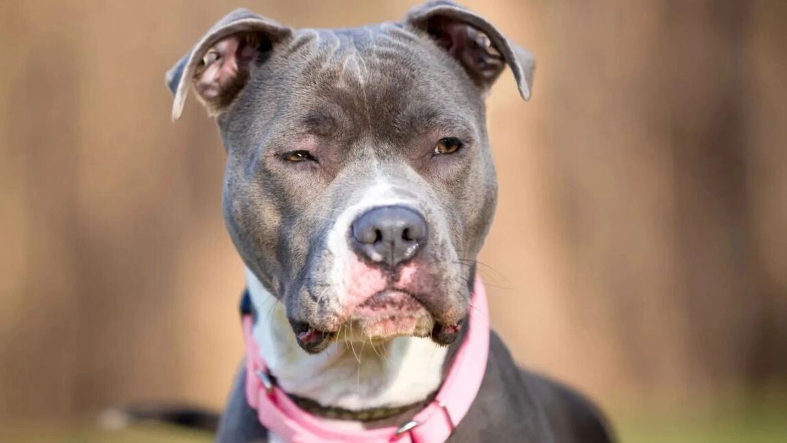    Фото: Mary Swift/Shutterstock/Fotodom