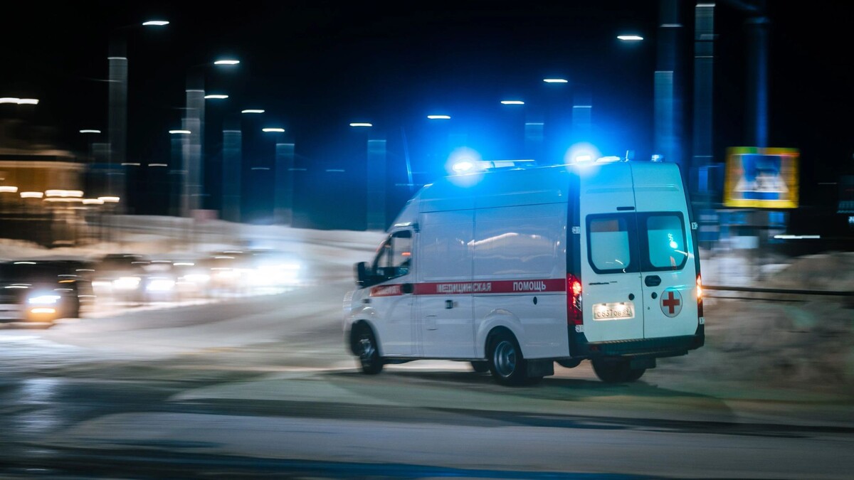    Фото: Федор Воронов/«Ямал-Медиа»