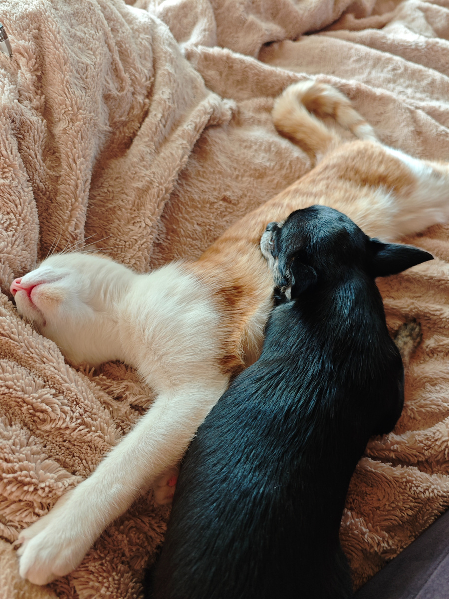 Полная гармония