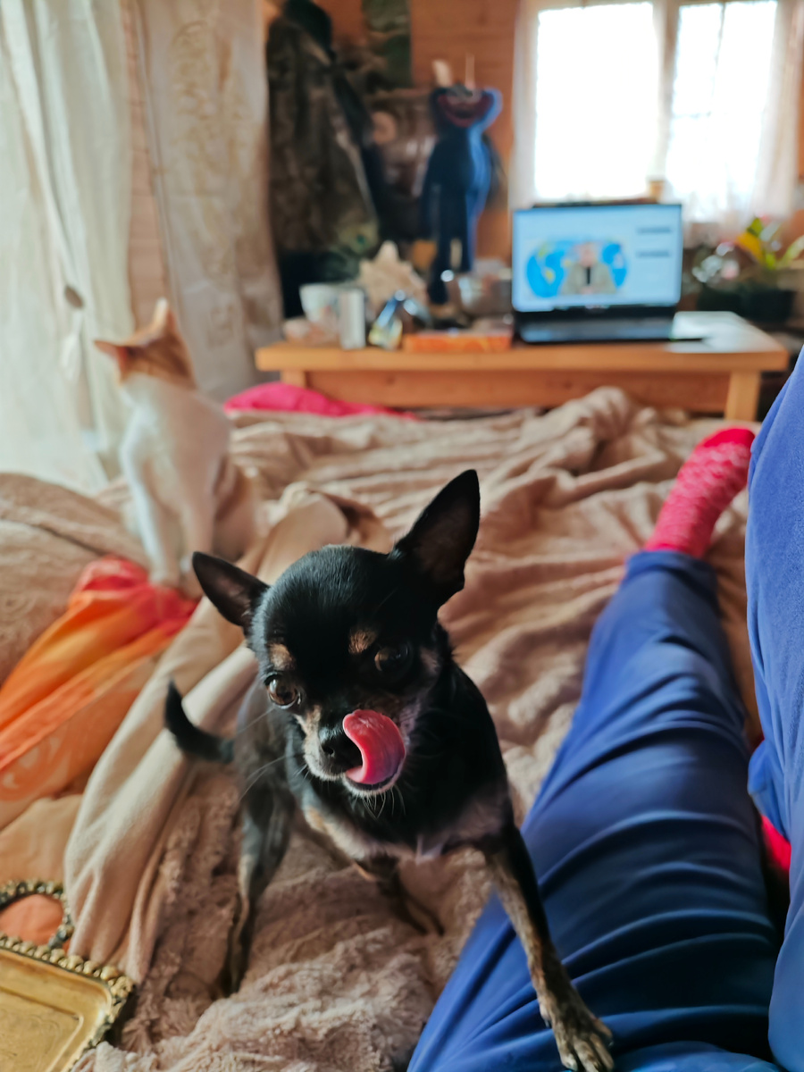 Моя любимка