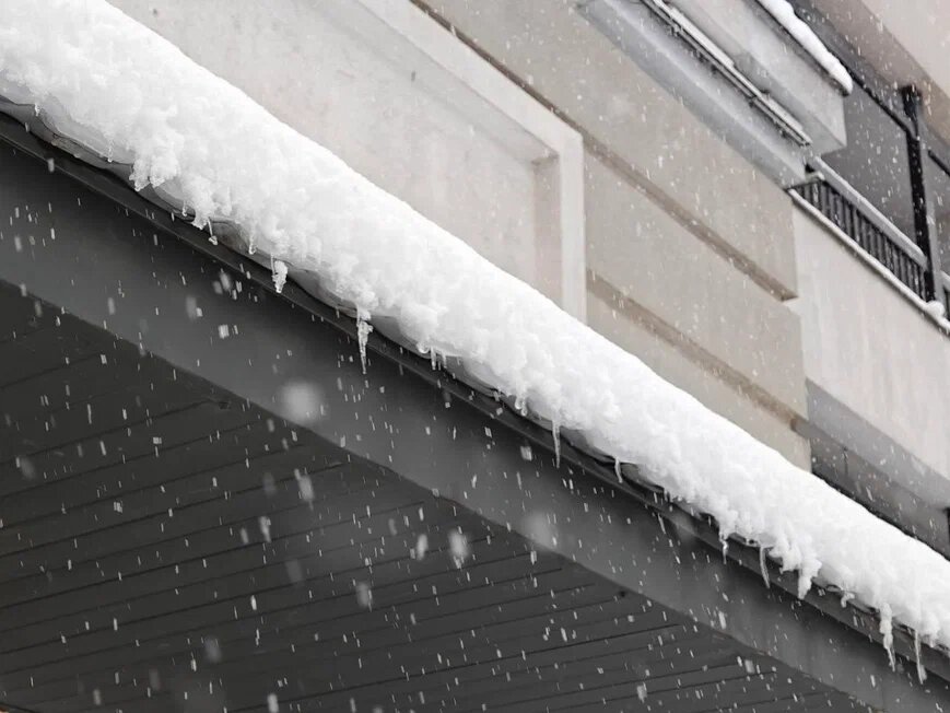    Фото: Юрий Серебренников/BFM Кубань