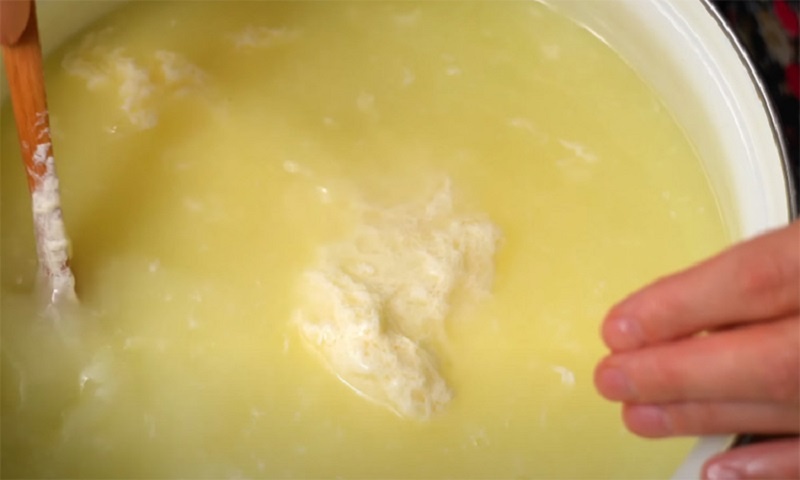 Моцарелла за 10 минут: домашний сыр без хлопот