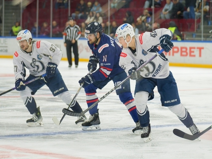     Фото: соцсети ХК ЦСК ВВС