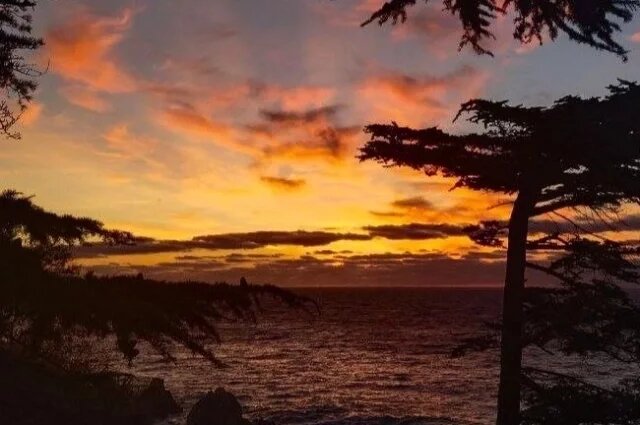    Над Крымом и Черным морем силы ПВО сбили 78 БПЛА ВСУ: что известно?