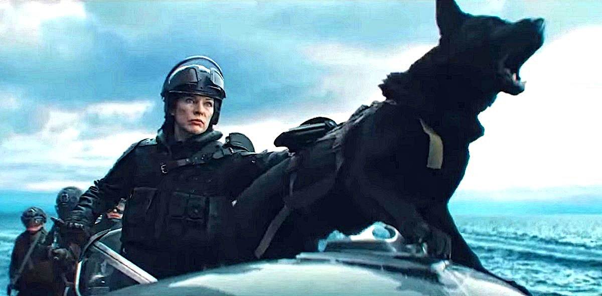 - Дядя Фёдо-о-ор! Матроскин! Атас, бегите! Менят ОМОН повязал! 