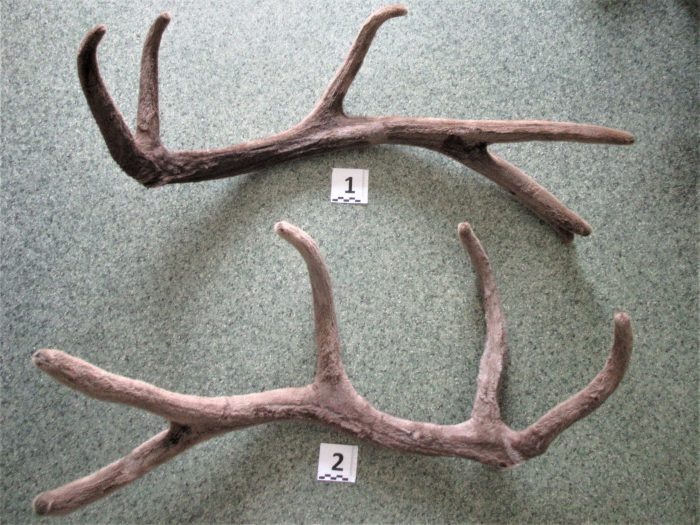 Фото: Сибирское таможенное управление.