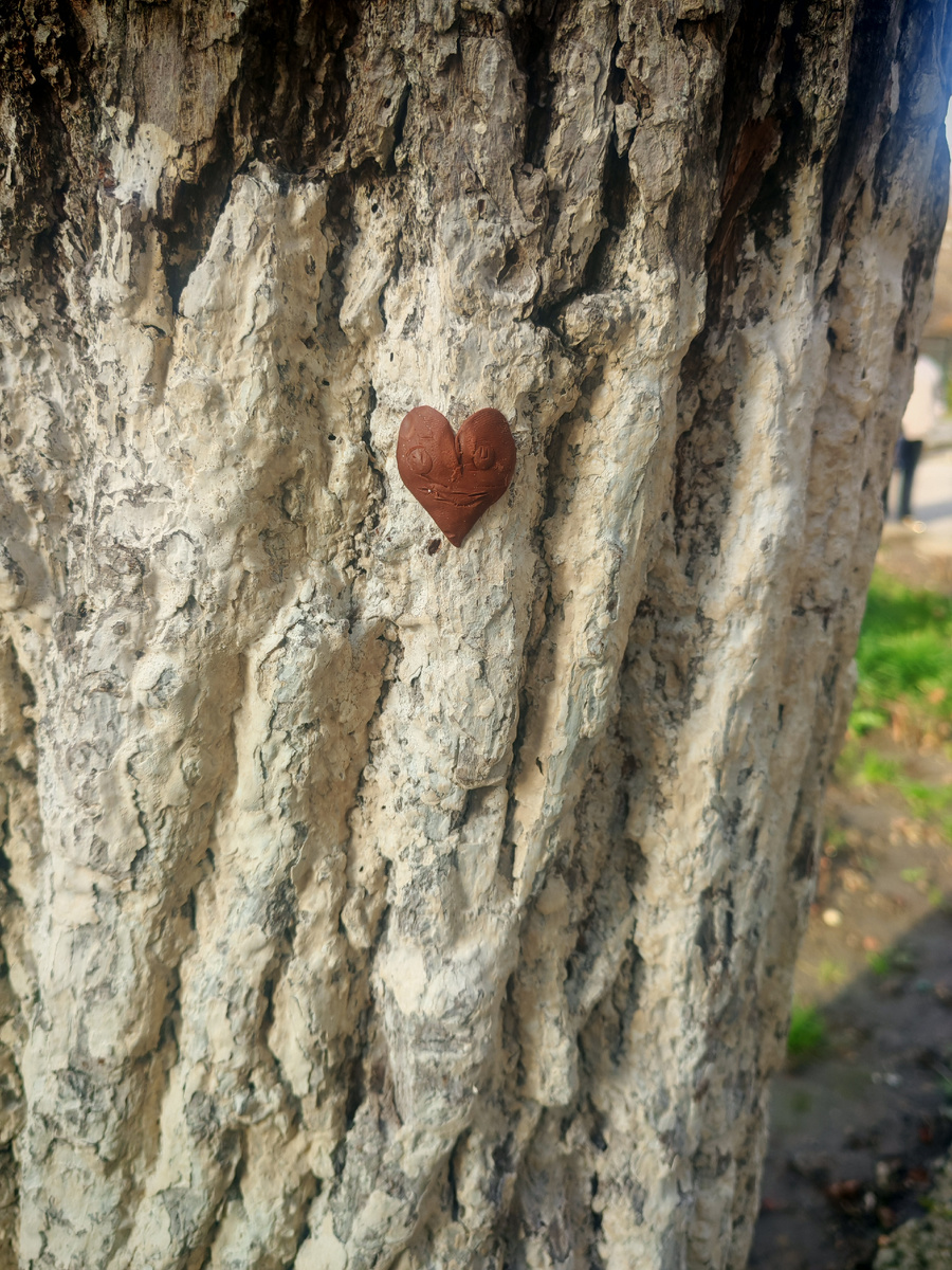 Фоткаем с дочкой сердечки везде, где видим... Это дерево возле школы. Кто-то решил поднять настроение окружающим. Я улыбнулась