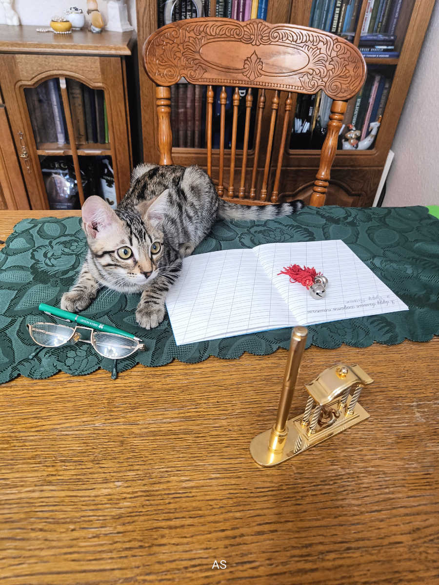 «Я буду больше ходить пешком» 