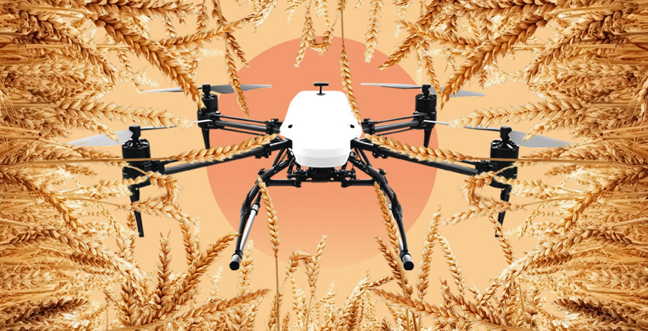 Коллаж: «Эксперт»