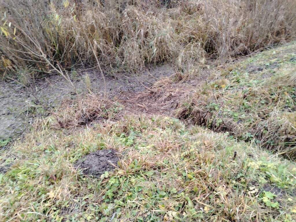    Фото: «Курский край»