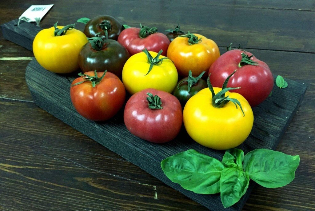 Плоды этой культуры удивляют разными цветами плодов