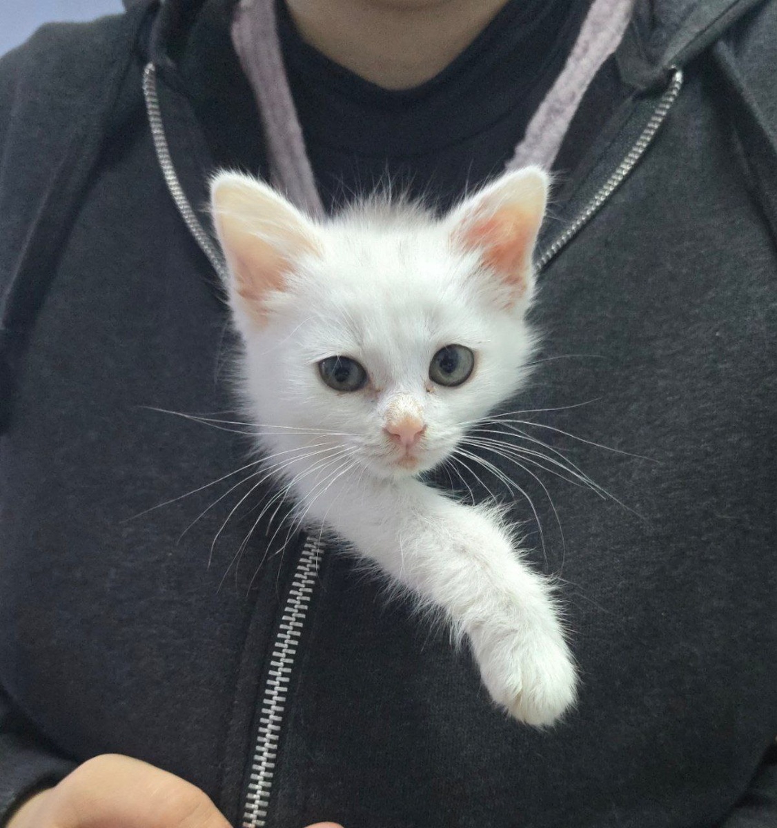 малышка доверчиво прижалась к рукам